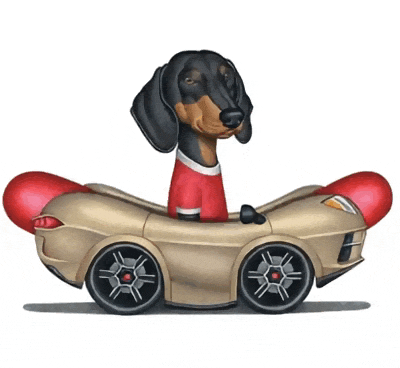 Chofer Traslado Coches